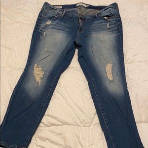 Torrid Boyfriend Jeans Distressed Sz 22